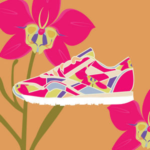 Orchid Sneaker Orange Background